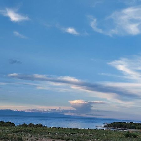 Svetlana Guest House Bokonbayevo エクステリア 写真