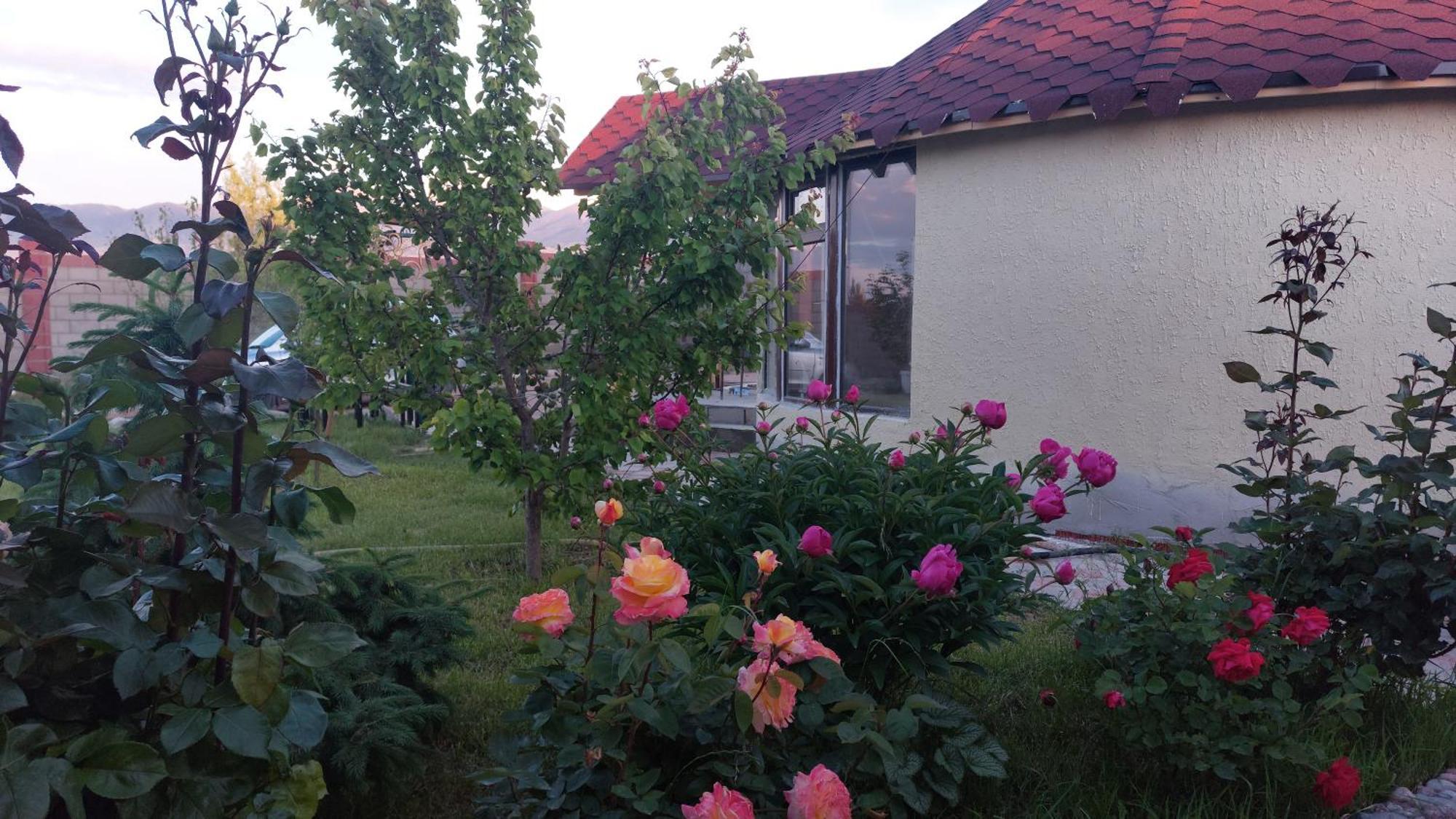 Svetlana Guest House Bokonbayevo エクステリア 写真