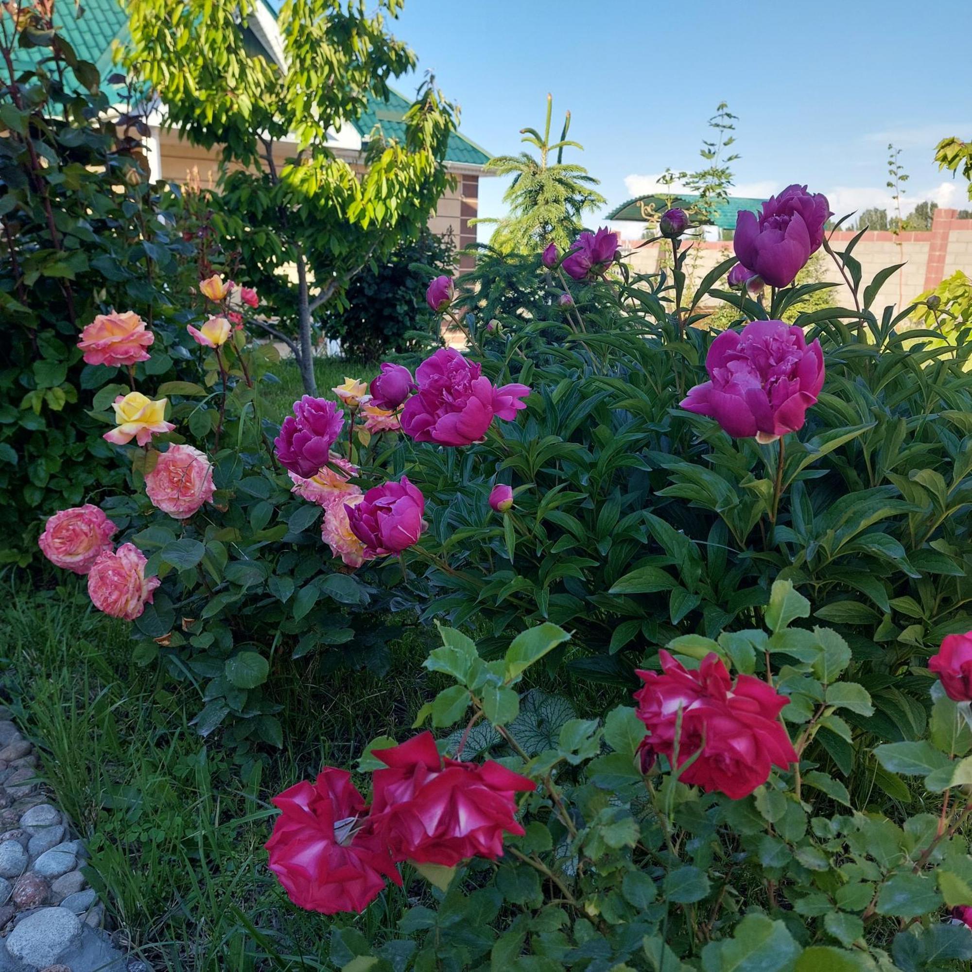 Svetlana Guest House Bokonbayevo エクステリア 写真