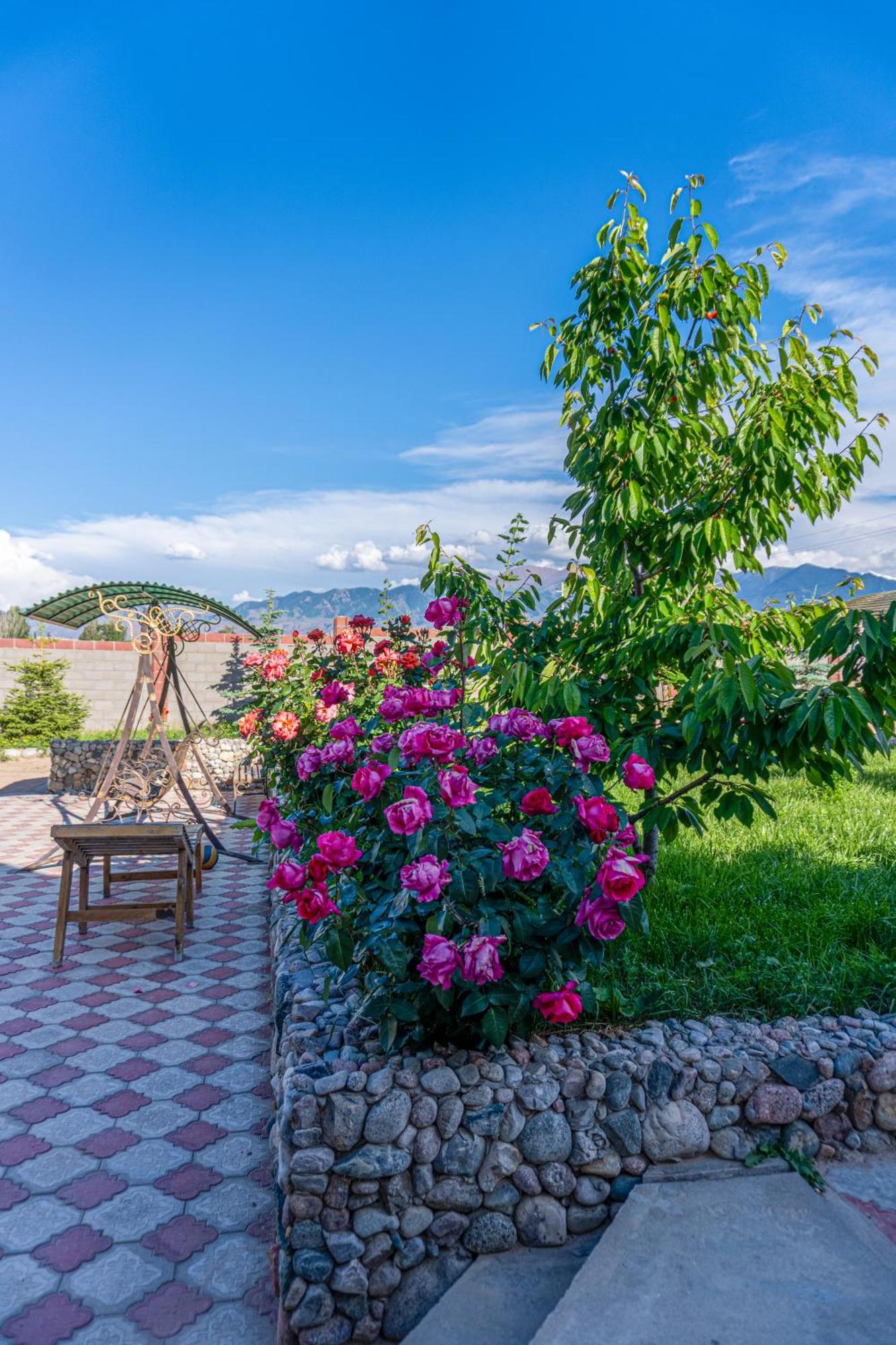 Svetlana Guest House Bokonbayevo エクステリア 写真