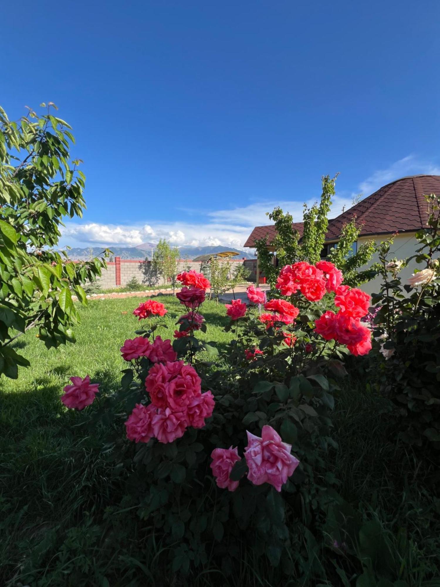Svetlana Guest House Bokonbayevo エクステリア 写真