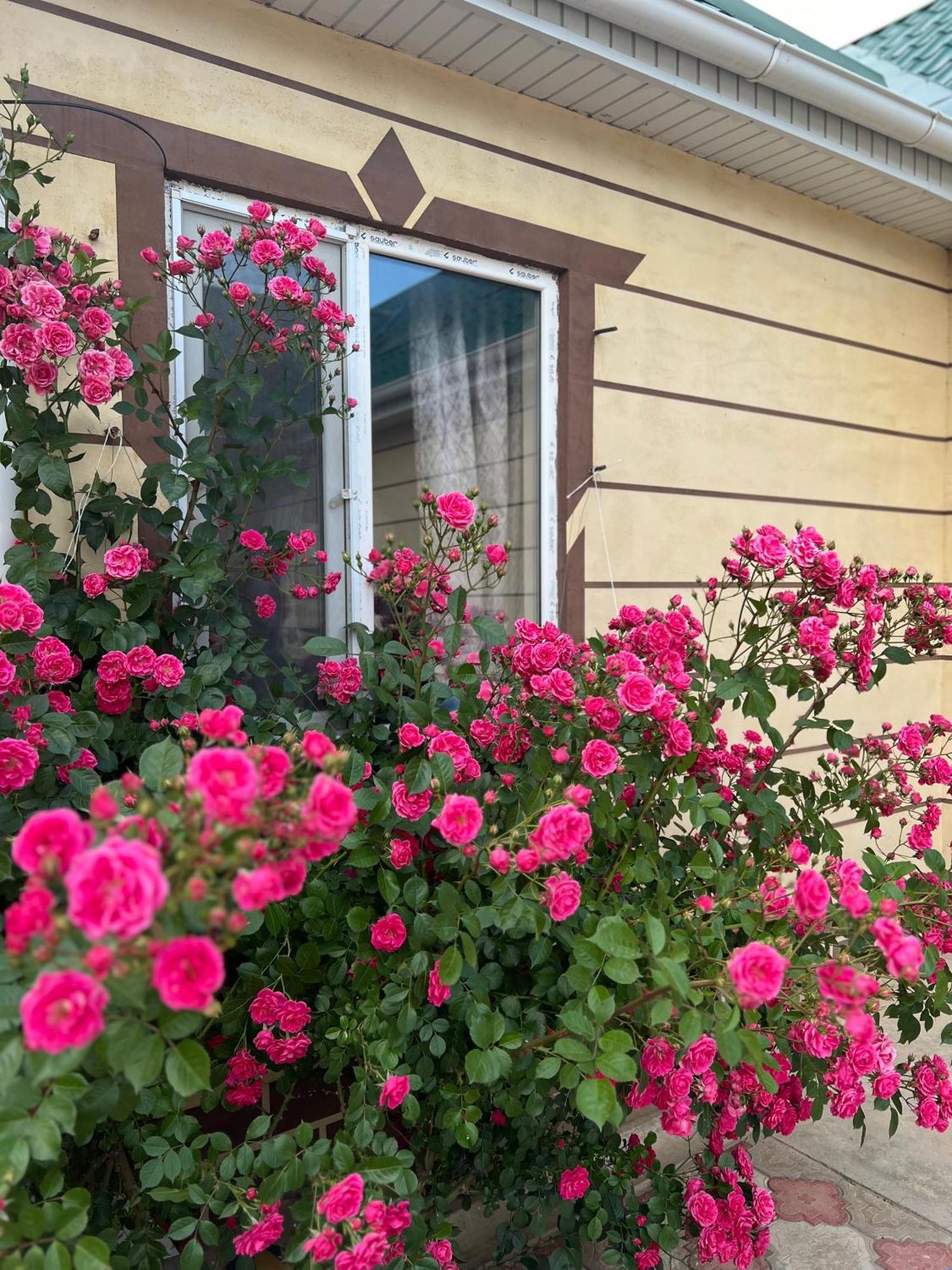 Svetlana Guest House Bokonbayevo エクステリア 写真